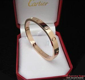 Cartier LEVE Bracelet CT009_2
