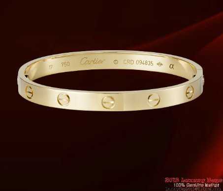 Cartier LEVE Bracelet CT009_3