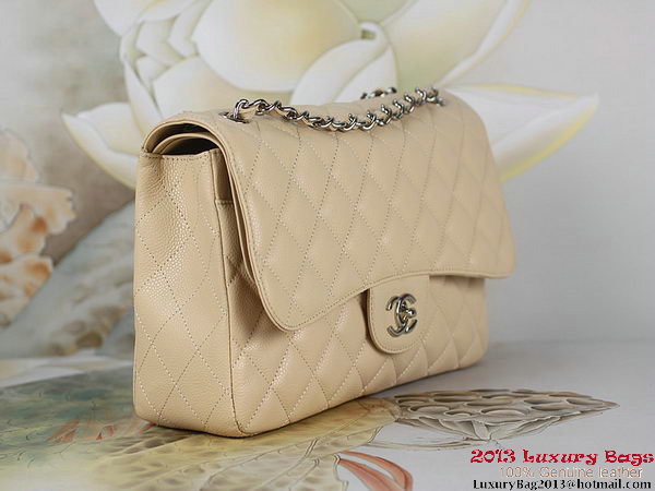 Chanel Classic Flap Bag Apricot Original Cannage Patterns Leather Silver