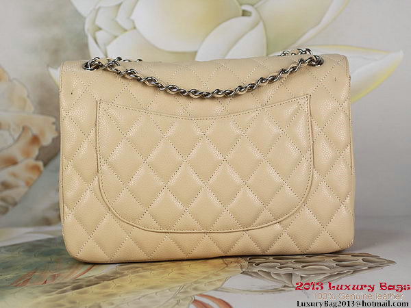 Chanel Classic Flap Bag Apricot Original Cannage Patterns Leather Silver