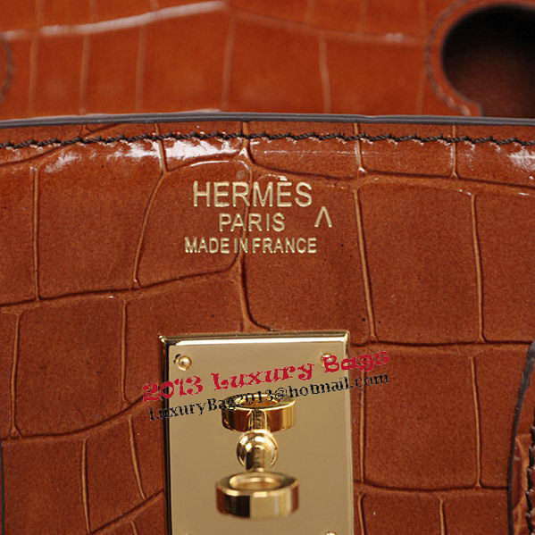 Hermes Birkin 35CM Tote Bag Brown Iridescent Croco Leather Gold
