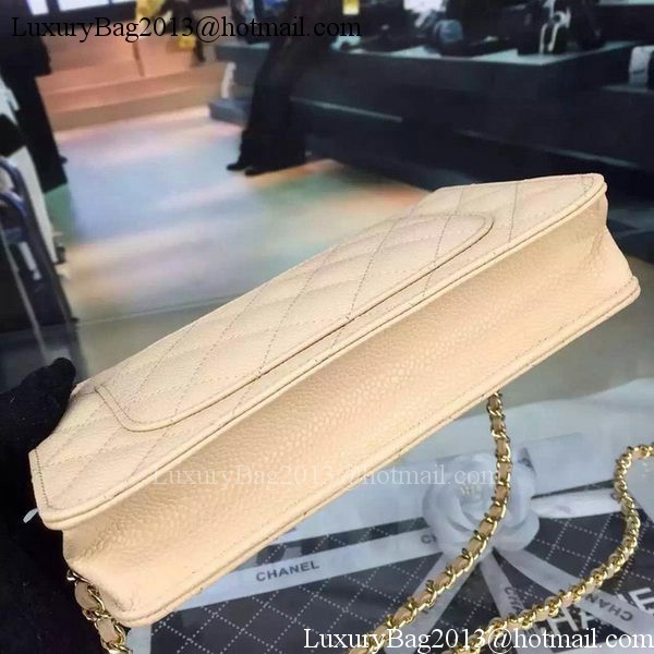 Chanel mini Flap Bag Cannage Pattern A8373 Apricot