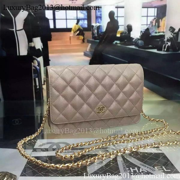 Chanel mini Flap Bag Cannage Pattern A8373 Grey