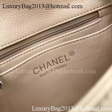 Chanel Classic MINI Flap Bag Original Cannage Pattern A1115 Apricot