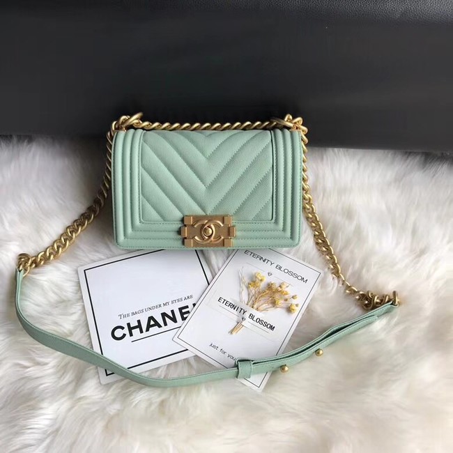 Chanel Leboy Original Caviar leather Shoulder Bag A67085 Light green gold chain