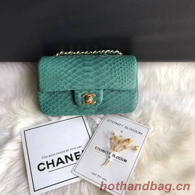 Chanel Mini Flap Bag Python & Gold-Tone Metal A69900 green