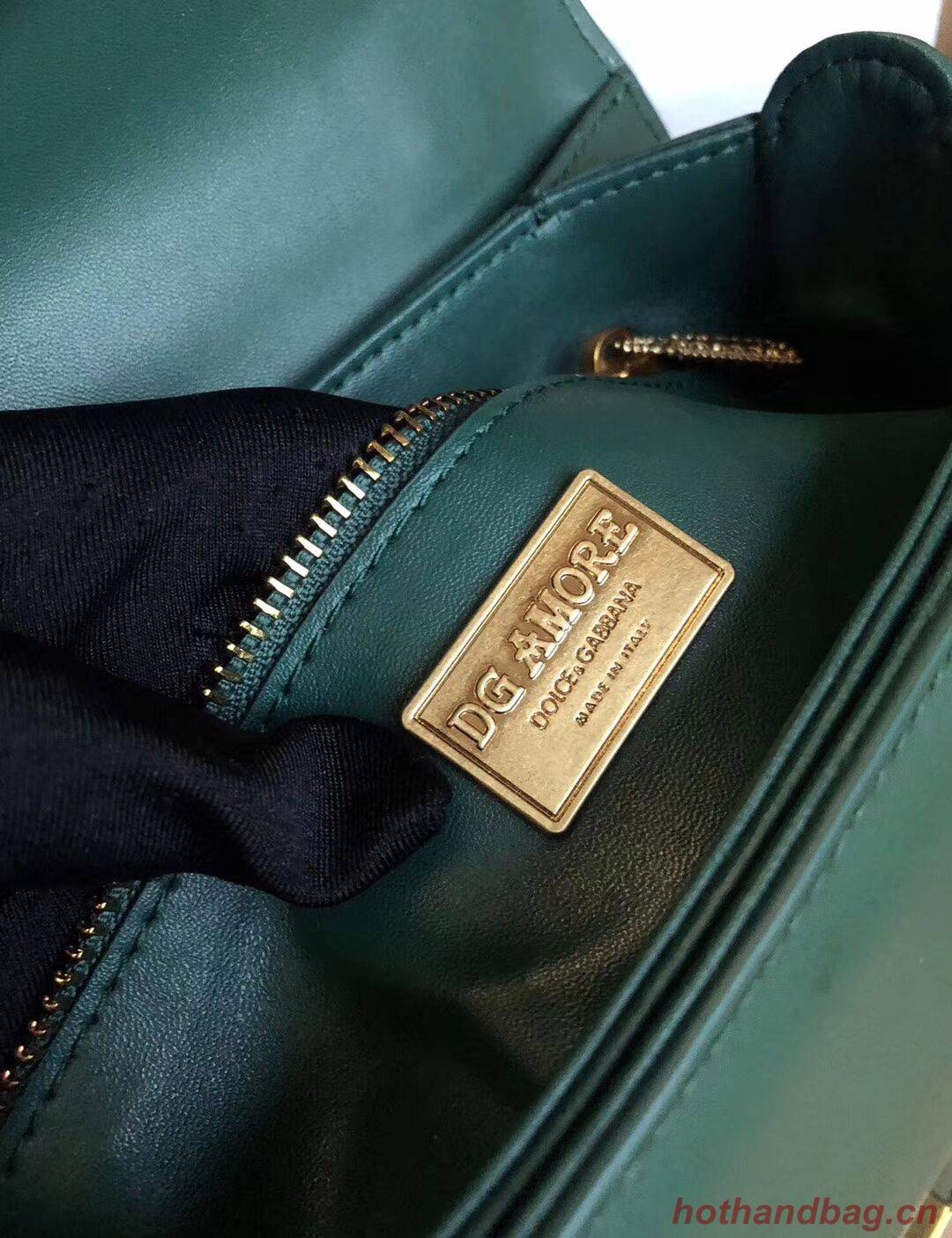 Dolce & Gabbana Origianl Leather Bag 4916 Green
