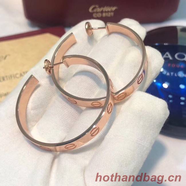 Cartier Earrings CE4141
