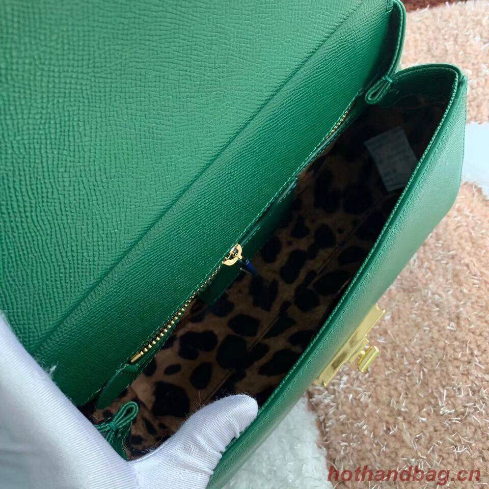 Dolce & Gabbana Origianl Leather Bag 4131 green