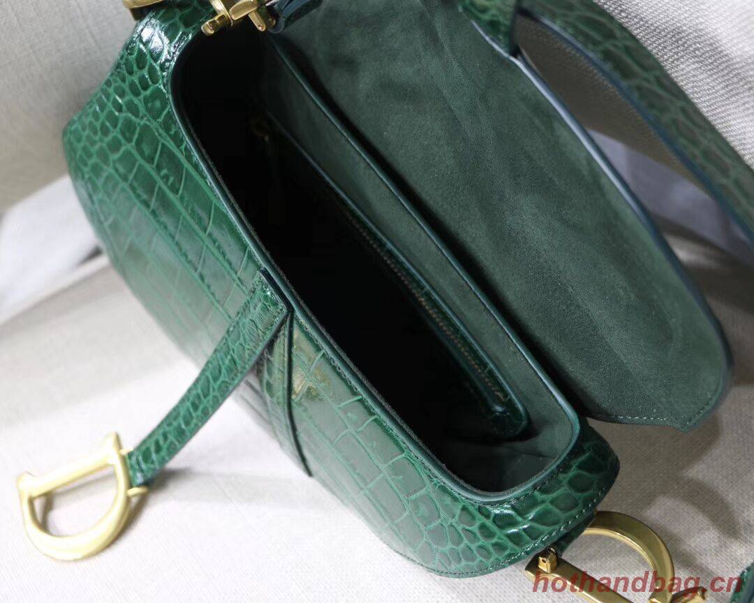 Dior SADDLE SOFT CALFSKIN BAG C9045 green