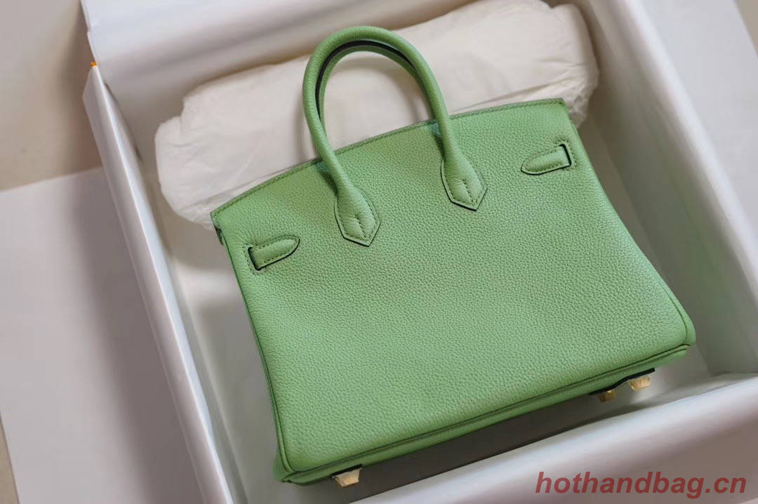 Hermes Birkin 25CM Togo Leather H5601 green