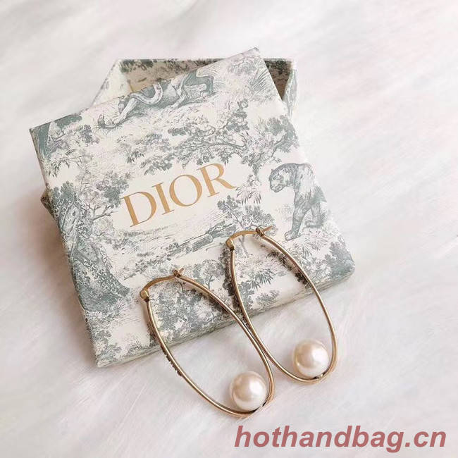 Dior Earrings CE4900