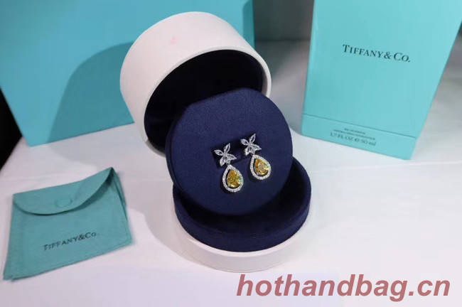 TIFFANY Earrings CE4911