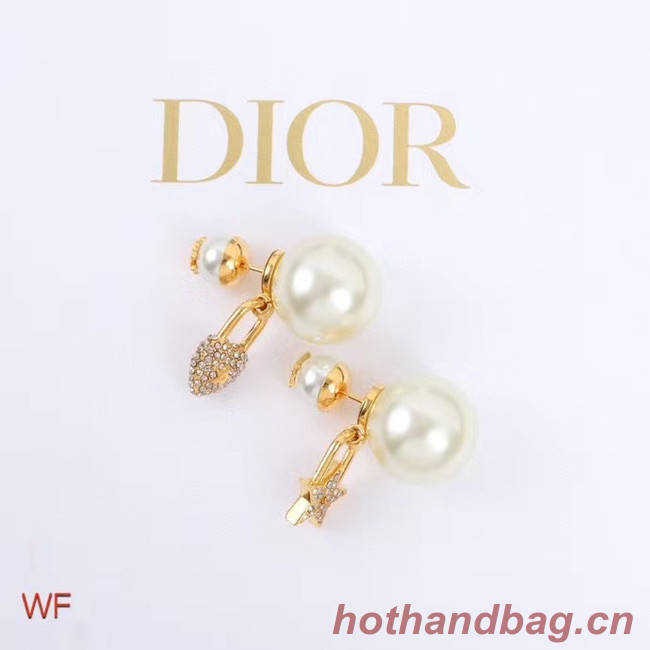 Dior Earrings CE5023