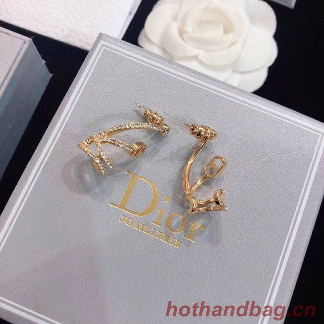 Dior Earrings CE5133
