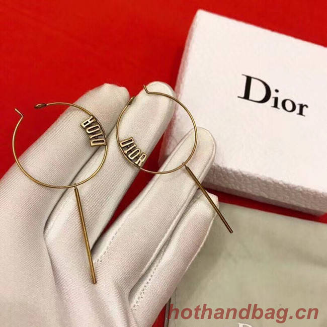 Dior Earrings CE5135
