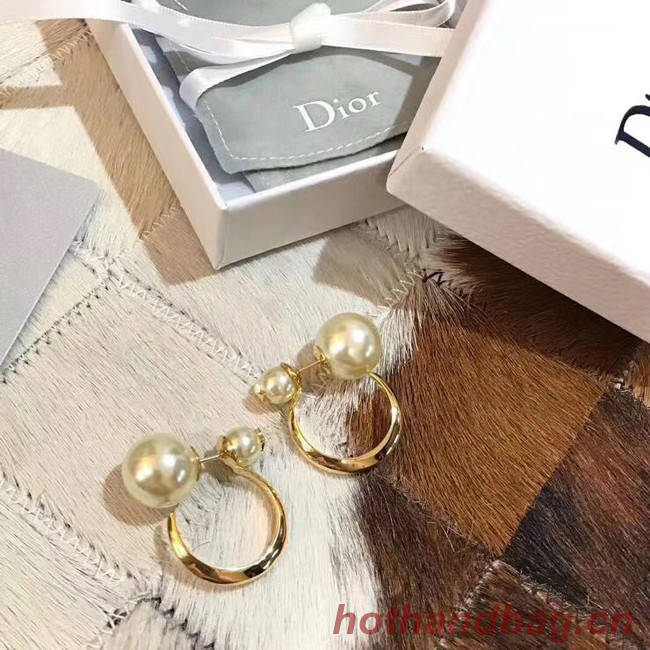 Dior Earrings CE5183