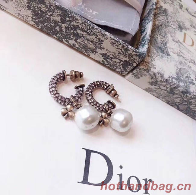 Dior Earrings CE5363