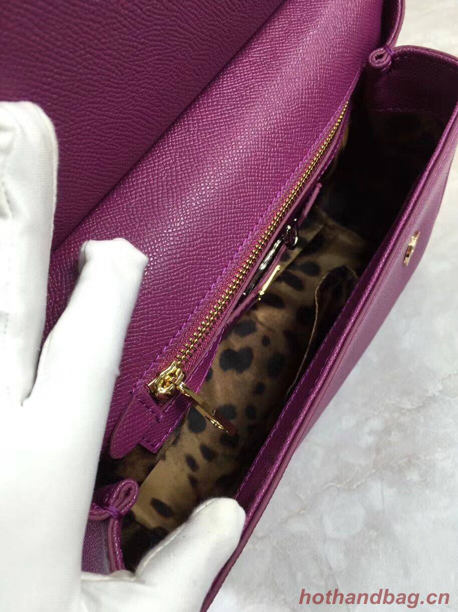 Dolce & Gabbana Origianl Leather 4136 violet