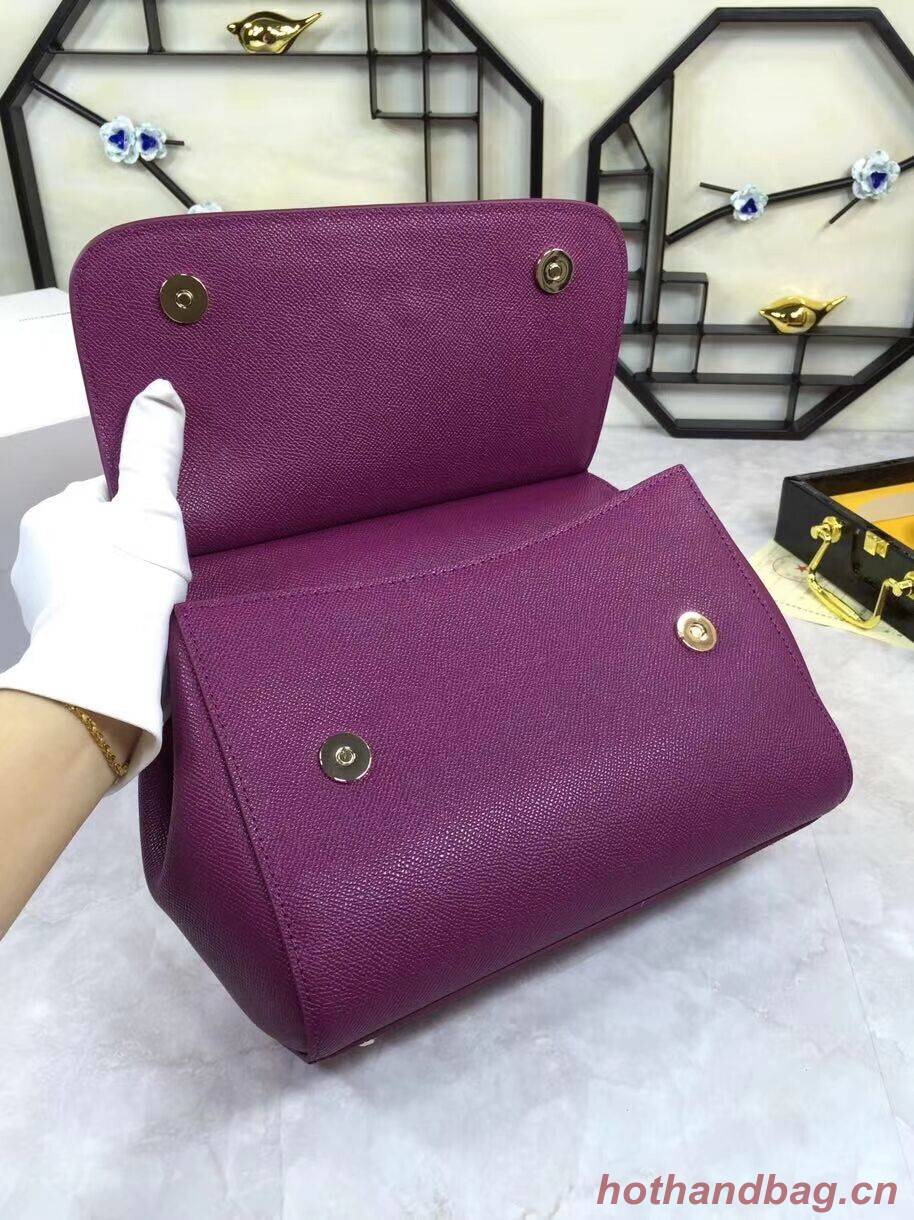Dolce & Gabbana Origianl Leather 4136 violet