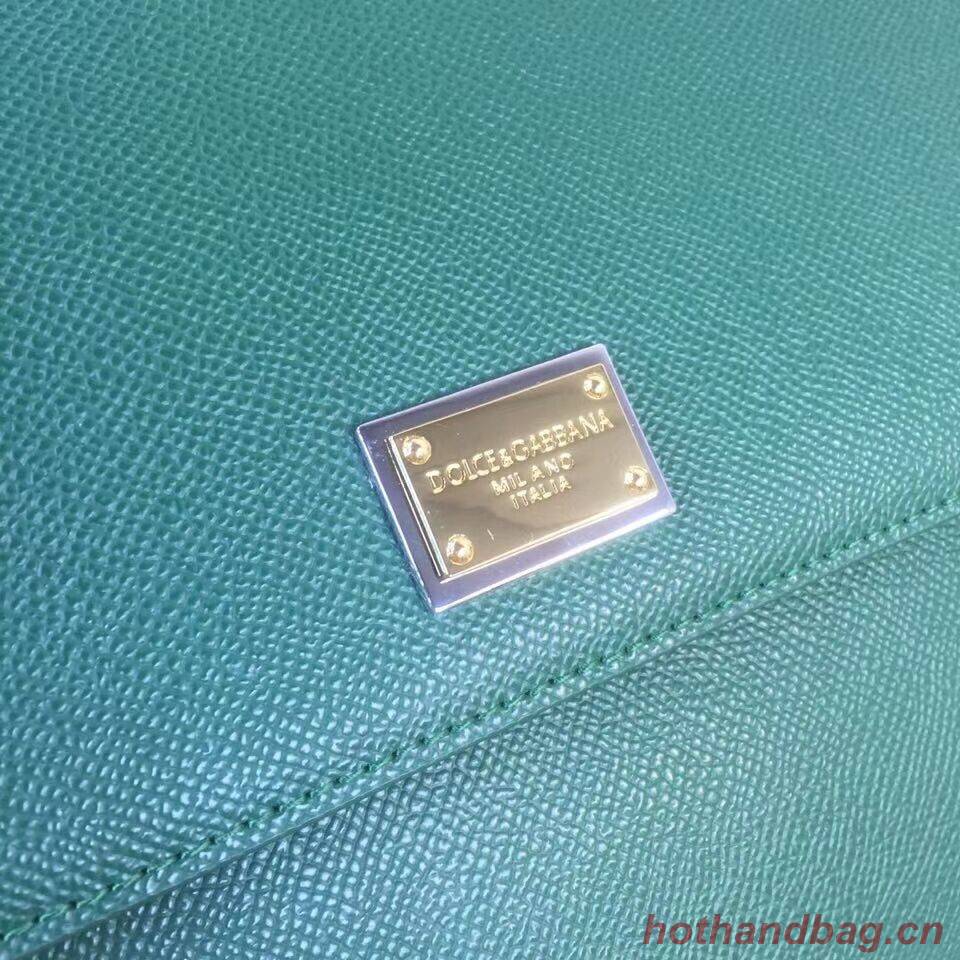 Dolce & Gabbana Origianl Leather 4138 Large blackish green