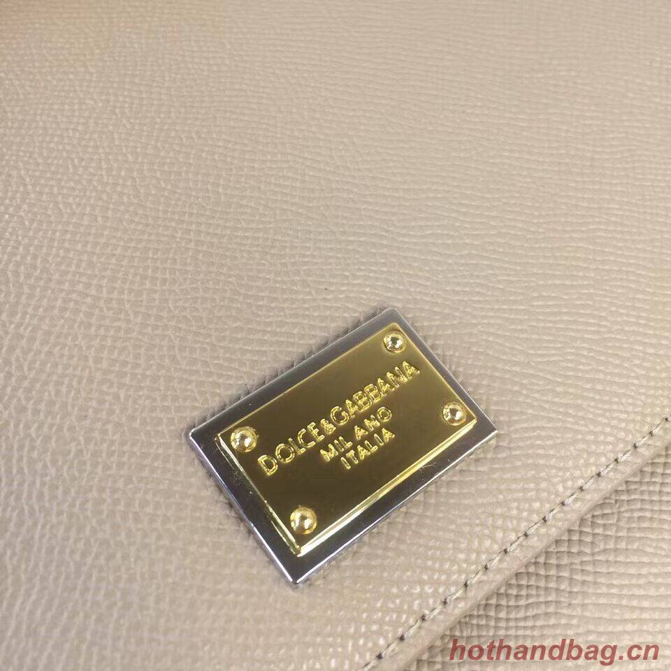 Dolce & Gabbana Origianl Leather 4138 Large grey