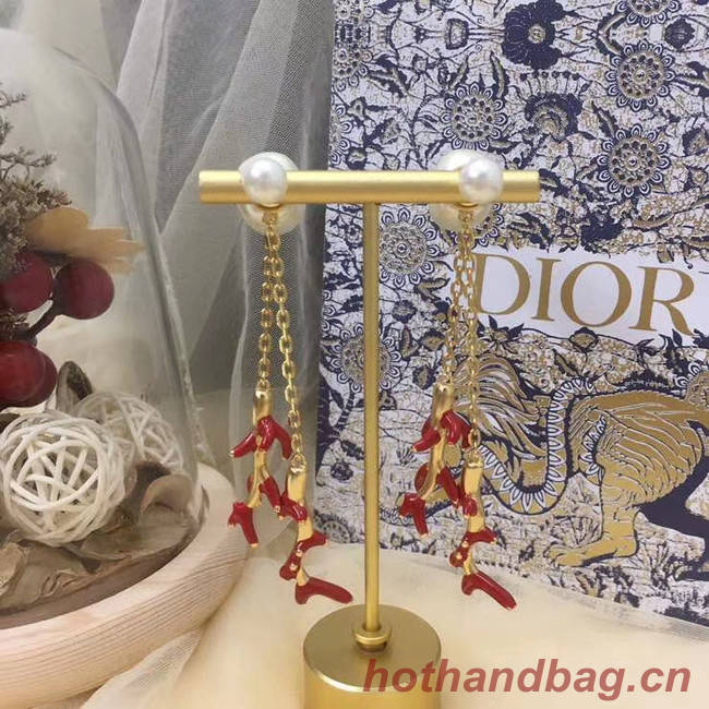 Dior Earrings CE5745