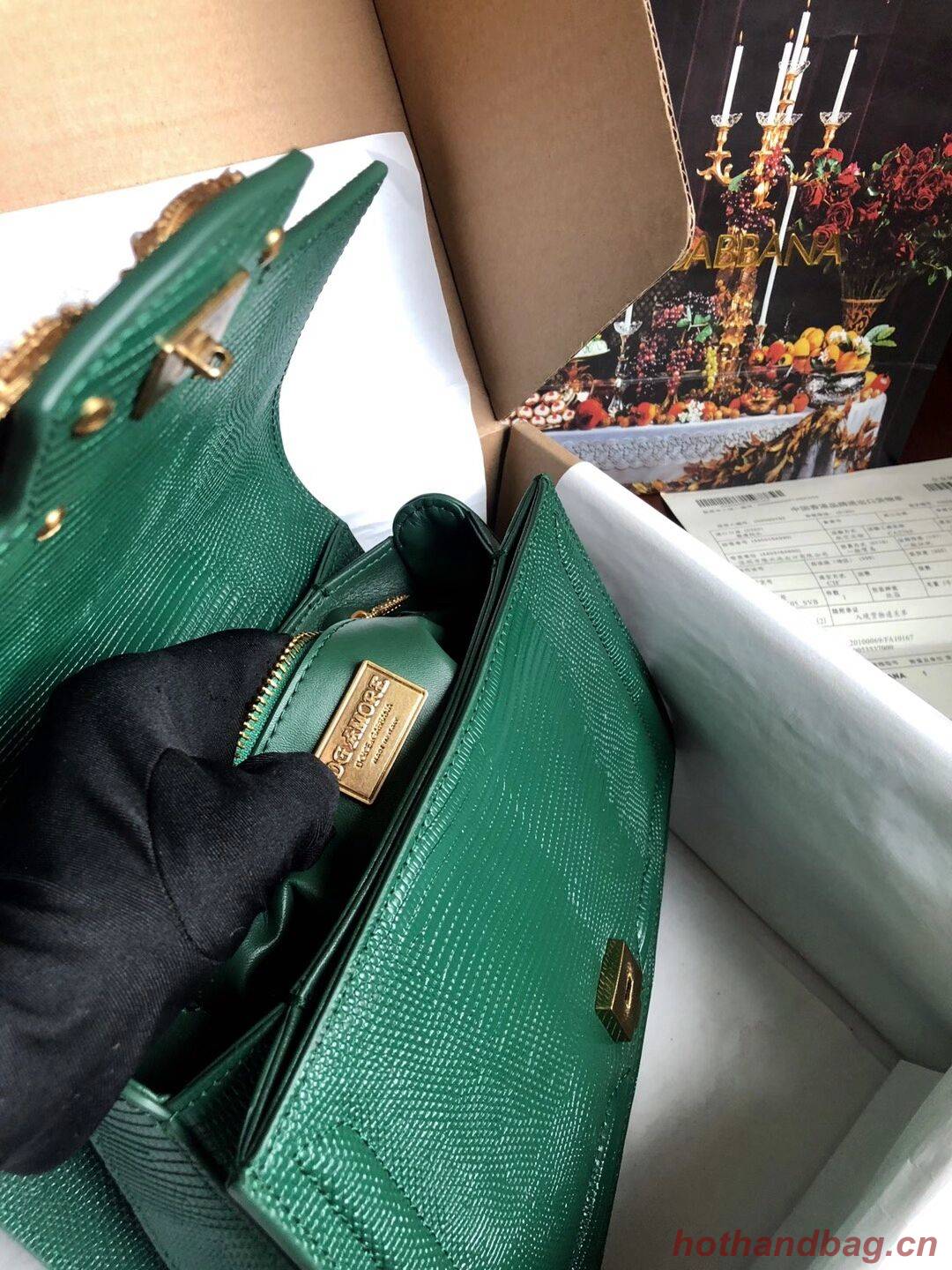 Dolce & Gabbana Origianl Lizard skin Leather Bag 4916F Blackish green