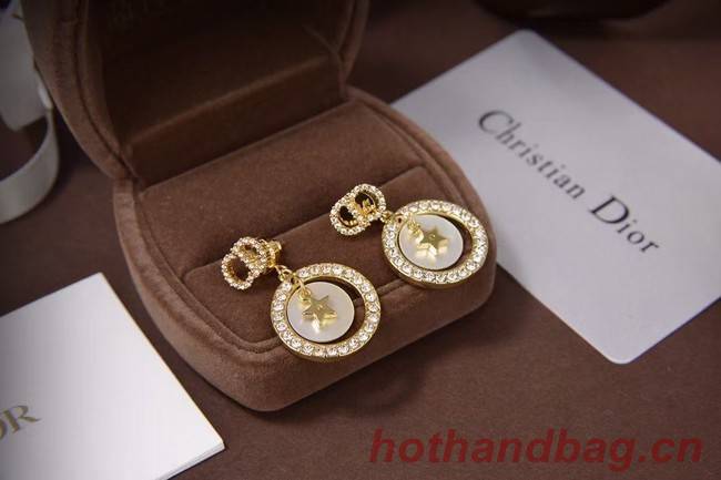 Dior Earrings CE5873