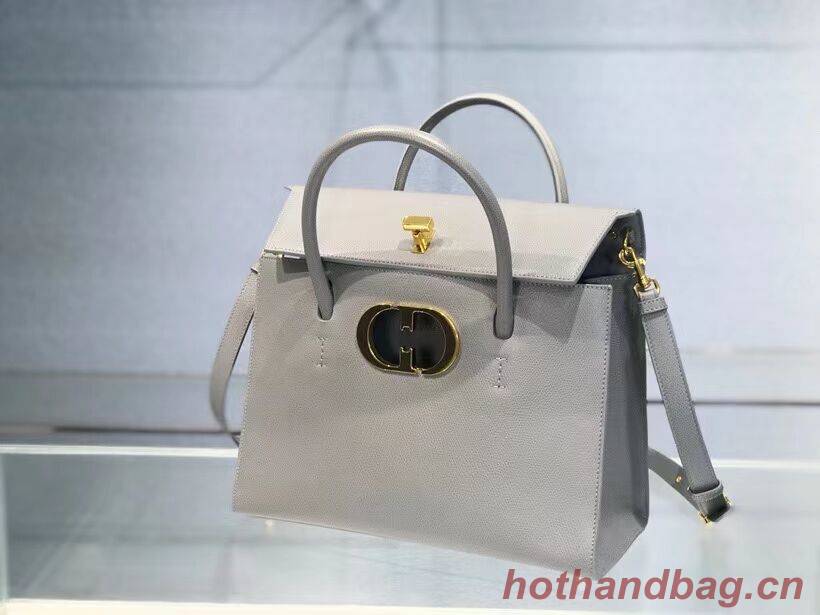 DIOR LARGE ST HONORE TOTE Grained Calfskin M9306UBAE gray