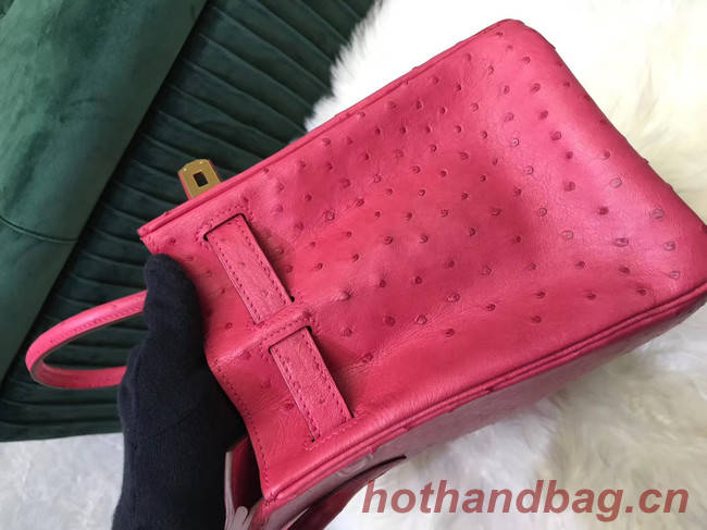 Hermes Birkin Bag Original Leather Ostrich skin HBK2530 rose