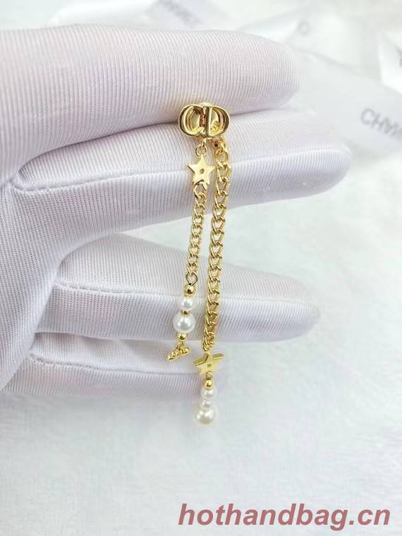 Dior Earrings CE6050