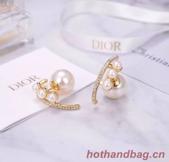 Dior Earrings CE6055