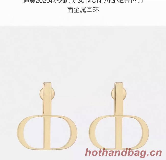 Dior Earrings CE6090