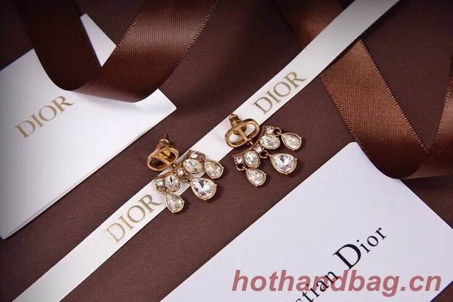 Dior Earrings CE6132