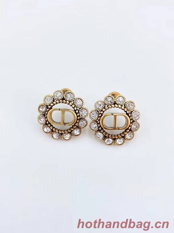 Dior Earrings CE6304