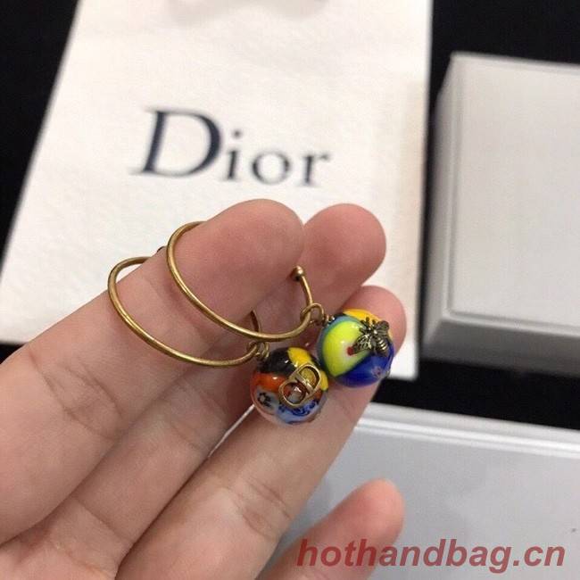 Dior Earrings CE6329