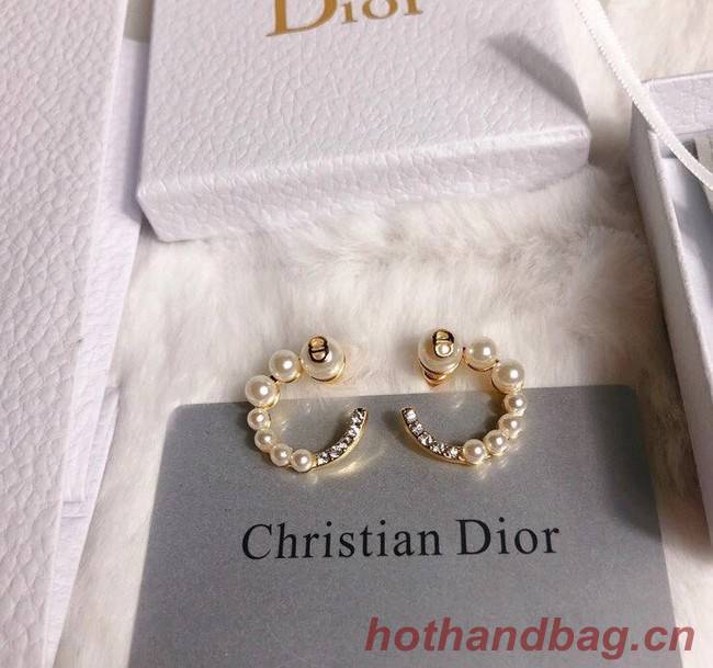 Dior Earrings CE6349