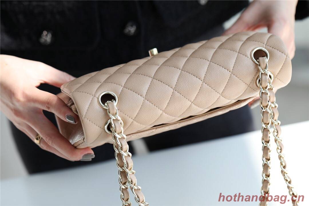 Chanel Small Classic Handbag Grained Calfskin & silver-Tone Metal A01113 Apricot