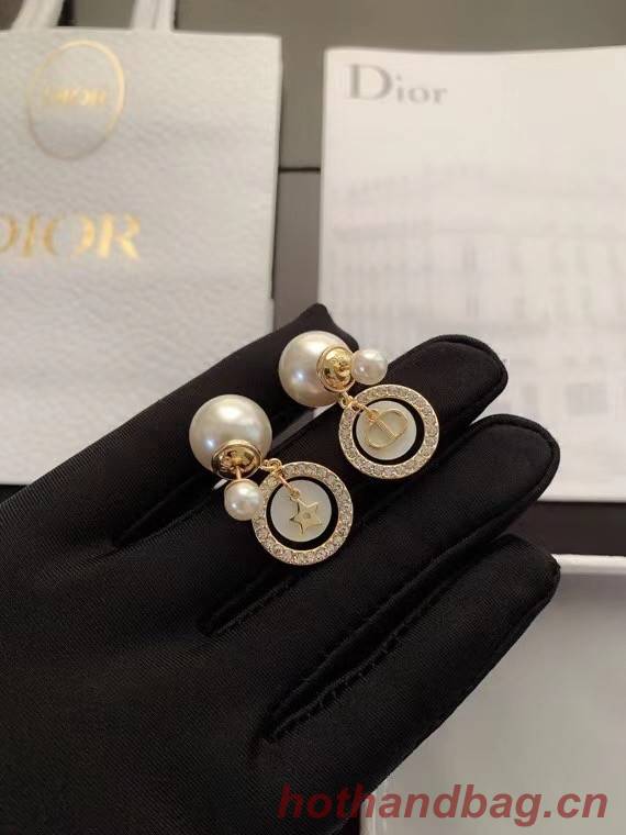 Dior Earrings CE6471