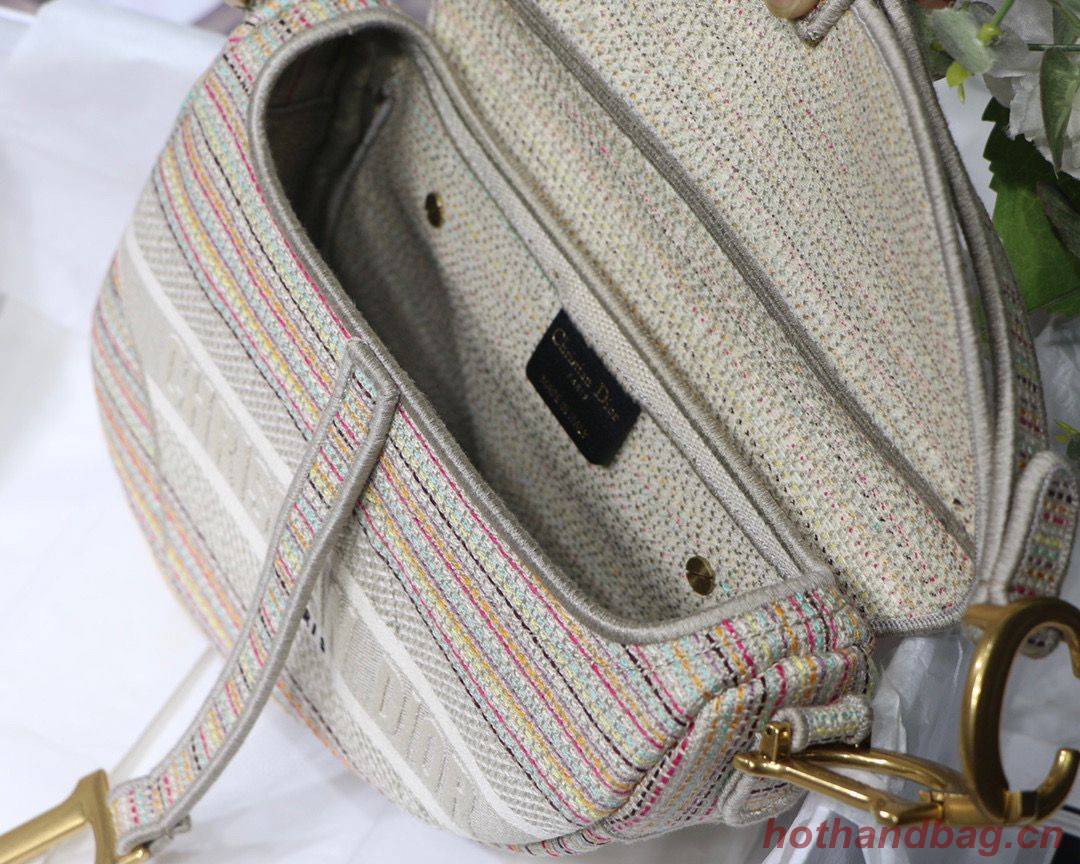 DIOR Embroidery Striped Color SADDLE BAG M0446C Beige