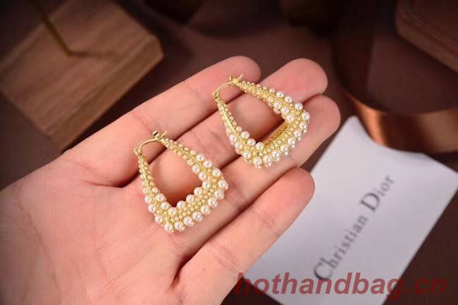 Dior Earrings CE6497