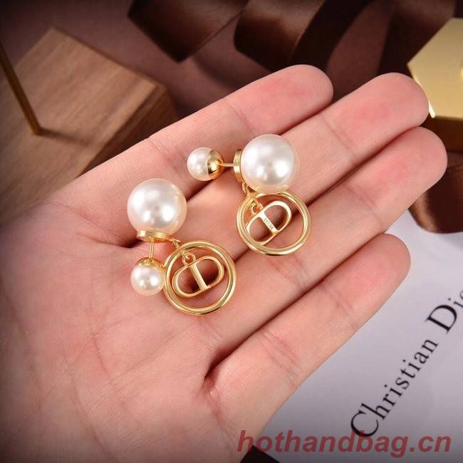 Dior Earrings CE6504