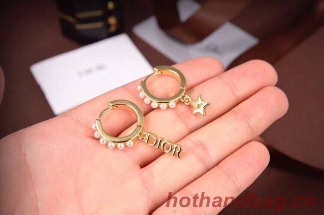 Dior Earrings CE6557
