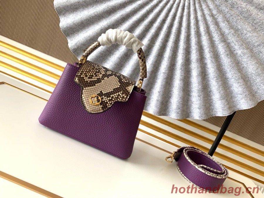 Louis Vuitton CAPUCINES Original Leather PM M96467 Purple