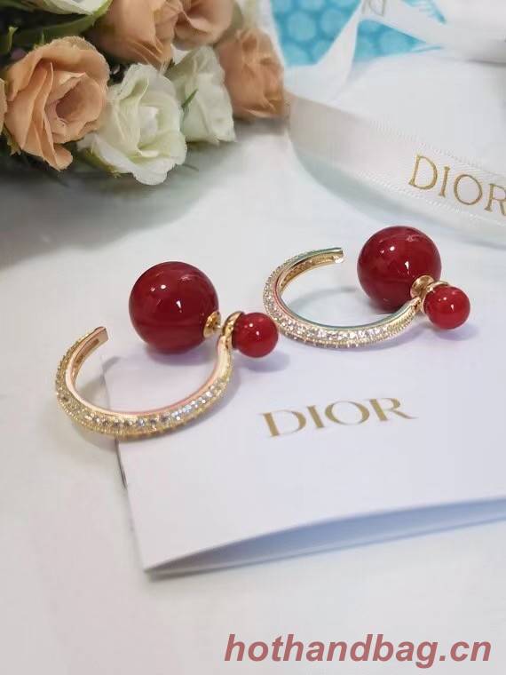 Dior Earrings CE6652