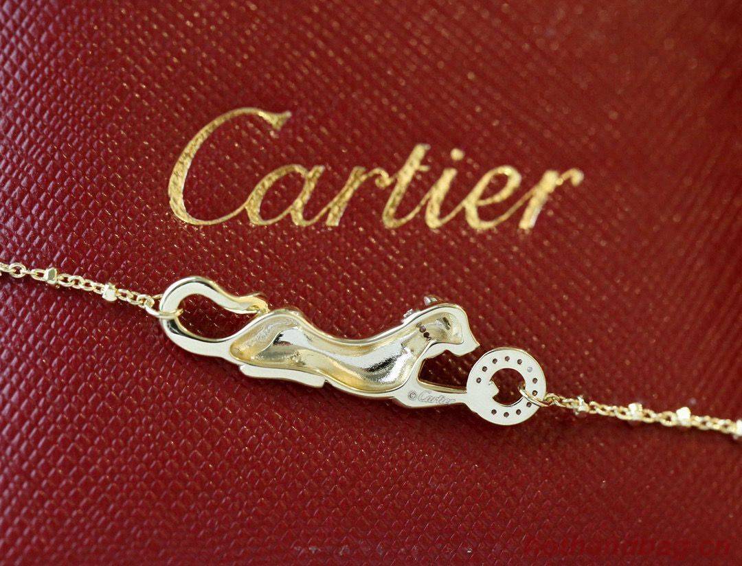 Cartier Necklace CN36257