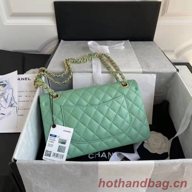 chanel classic handbag Lambskin & gold Metal A01112 light green