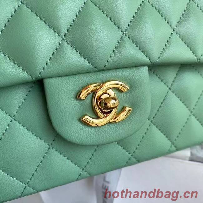 chanel classic handbag Lambskin & gold Metal A01112 light green
