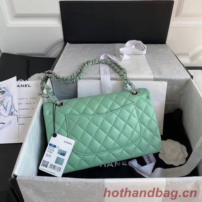 chanel classic handbag Lambskin & silver Metal A01112 light green